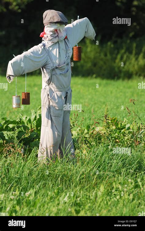 Blechmann Vogelscheuche Fotos Und Bildmaterial In Hoher Aufl Sung Alamy