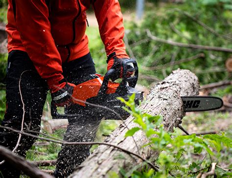 Echo Dcs Cordless Chainsaw V Frank Nicol