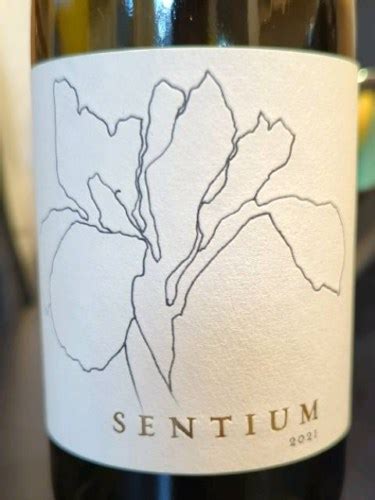 Continuum Sentium Vivino België