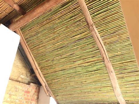 Bamboo Ceilings Paarl Thatched Roof Cape Town Thatch Roofing