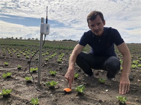 Reportage Dans Les Champs Du Maine Et Loire Des Sondes Connect Es