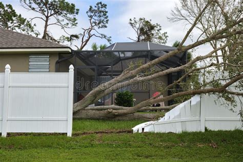 Fallen Down Big Tree Caused Damage Of Yard Fence After Hurricane Ian In