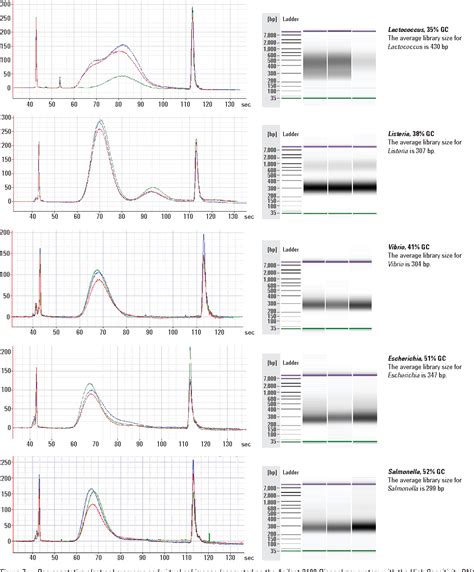 Figure From Automated Library Construction Using Kapa Library