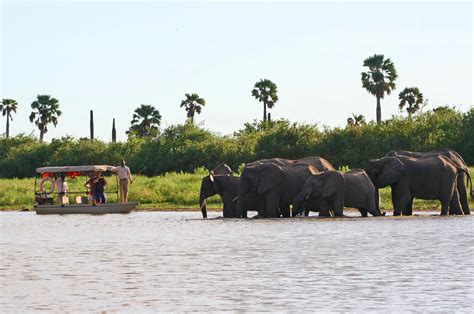 Nyerere National Park Tanzania Safaris Shizi Safari