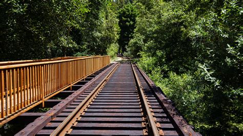 Riding The Railbikes Up Pudding Creek Jason Leffew Flickr