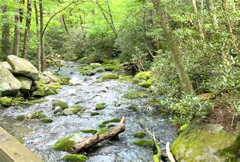 8 Things to See Along the Roaring Fork Motor Nature Trail - The ...