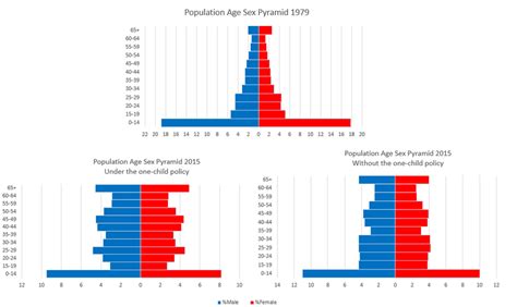 Chinas Population Pyramid By Age And Sex Download Scientific Diagram