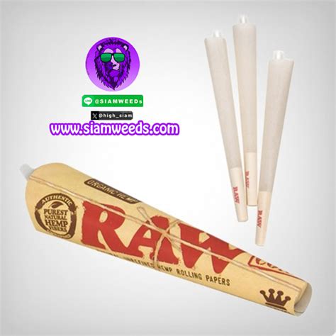 กระดาษโรลสำเร็จรูป Raw Pre Rolled Cones 1 1 4 6 Pcs Pack Siamweeds