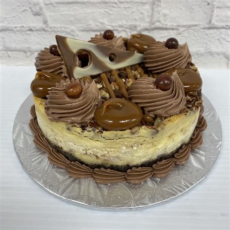 Cheesecake Turtle 6” – Cake Sweets & Treats