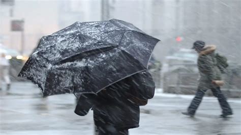 Allerta Meteo In Friuli Previste Piogge Abbondanti E Forti Raffiche Di