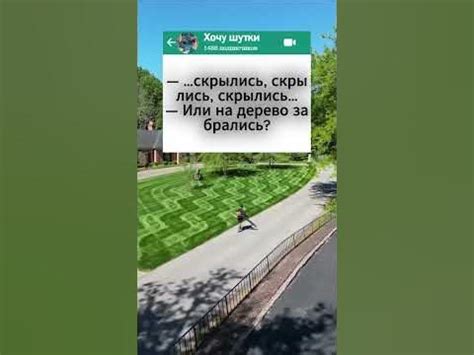 Анекдот про Чапаева и Петьку 😂 #анекдот #юмор #смех #приколы - YouTube