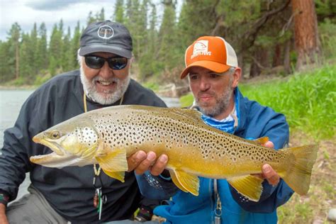 Montana Fly Fishing Guides Montana Trout Outfitters