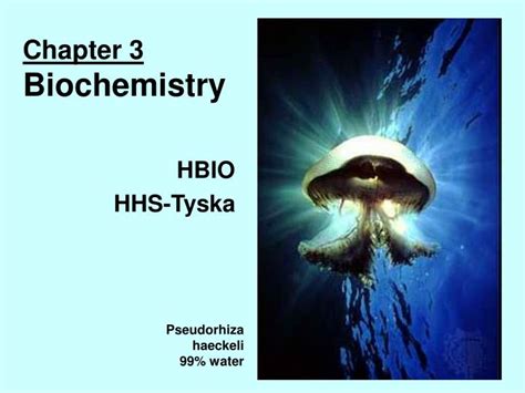 Ppt Chapter 3 Biochemistry Powerpoint Presentation Free Download