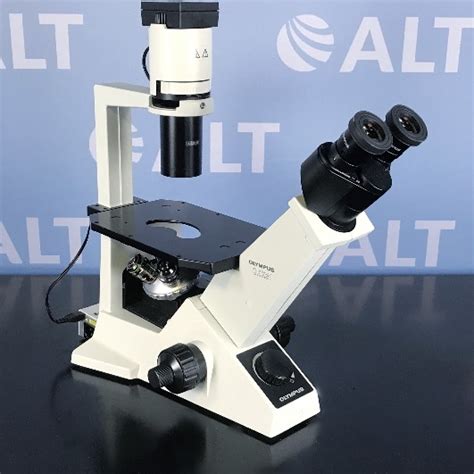 Olympus Ckx Sf Inverted Phase Contrast Tissue Culture Microscope