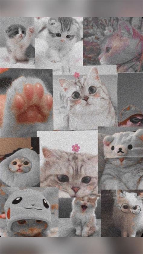 Pin De Gabrielly Gabiatti Em Pins Criados Por Voc Fotos De Animais