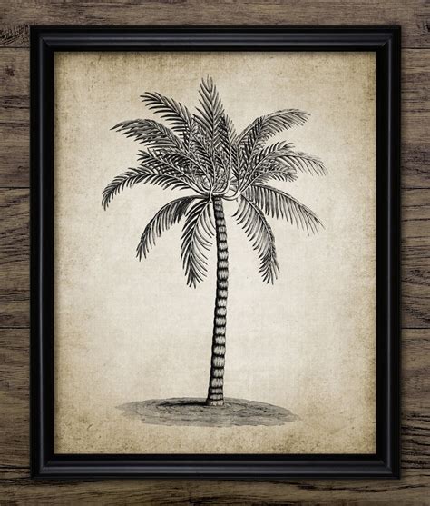 Vintage Palm Tree Drawing Print Printable Palm Tree Print Etsy