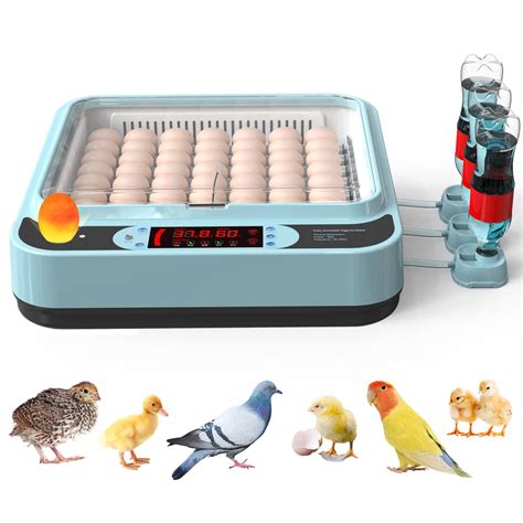 Ouyolad 64 Egg Incubator With Humidity Display Incubators For Hatching