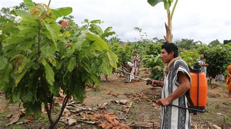 Midagri Apuesta Por Una Gestión Eficiente A Favor De Los Pequeños Productores Agrarios