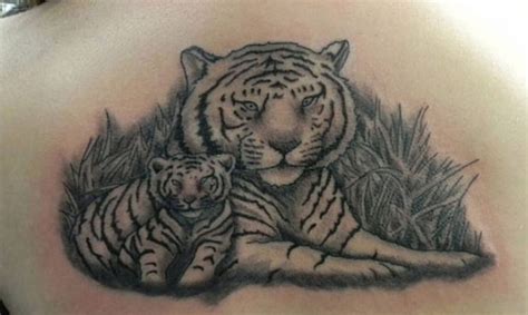 12+ Best Tiger and Cub Tattoo Designs | PetPress