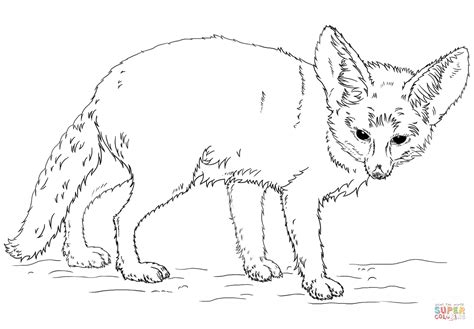 Fennec Fox coloring page | Free Printable Coloring Pages