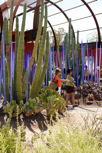 Chihuly Glass Sculptures At Desert Botanical Garden Flickr