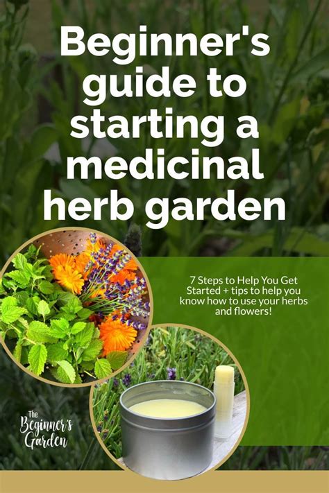 Beginners Guide To Medicinal Herb Gardening