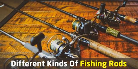 Different types of fishing rods - TrueBlueFishermen