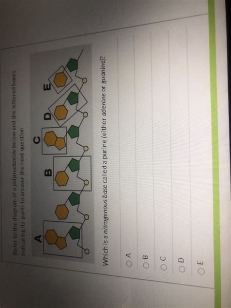 Solved Question Pts Refer To The Diagram Of A Chegg