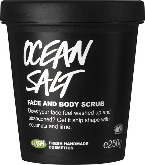 Lush Singapore Ocean Salt Face And Body Scrub 250g Review And Price 2020