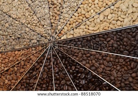 Many Varieties Of Coffee Beans Stock Photo 88518070 : Shutterstock