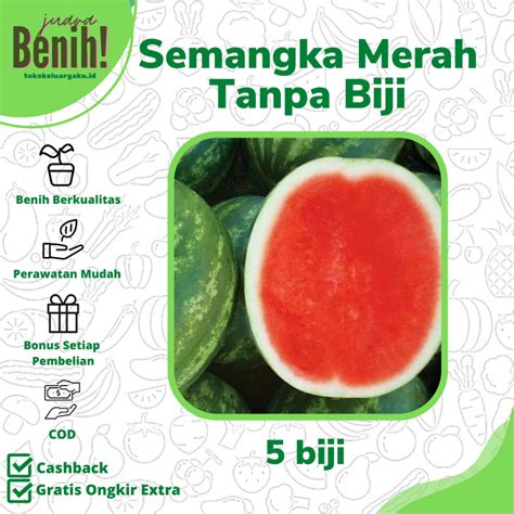 Jual 5 Benih Semangka Non Biji Merah F1 Hibrida Bibit Tanaman Buah