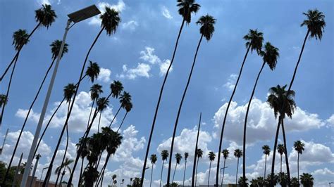 Clima En Los Mochis Este Martes De Enero Cielos Despejados Y