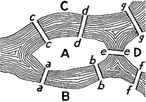 The Seven Bridges Over The River Pregel In Königsberg In Eulers Time Download Scientific