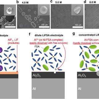 A Representative Li Cation Solvate Species SSIP CIP And AGGs In