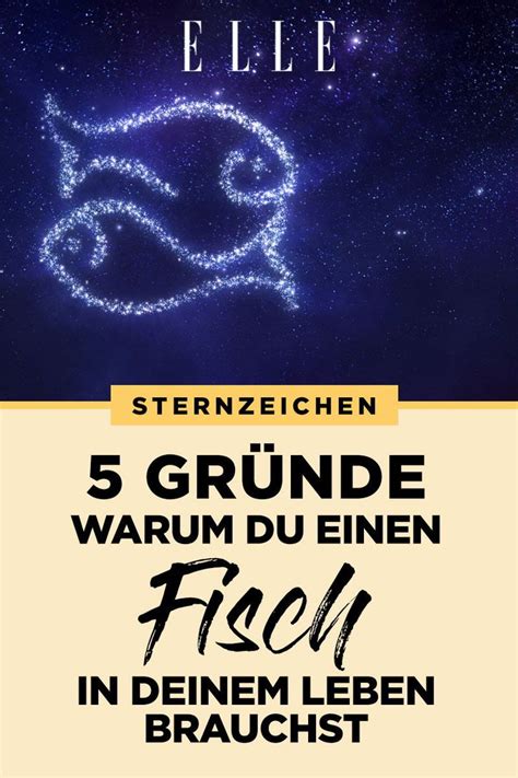 Horoskop Warum Du Das Sternzeichen Fische Im Leben Brauchst In