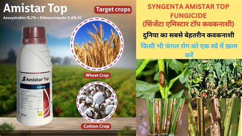 Amistar Top Fungicide Azoxystrobin