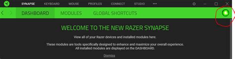 Razer Synapse use quick & advanced lighting effects at same time ...