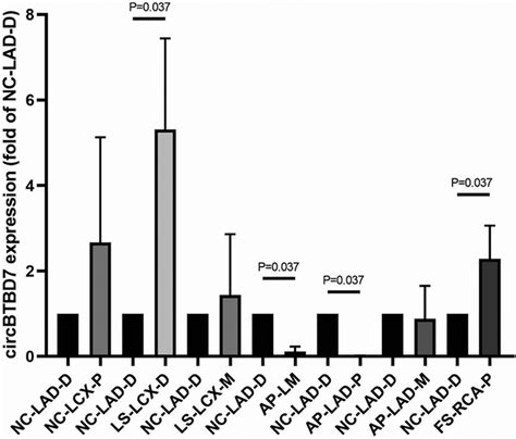 BTBD7 Hsa Circ 0000563 Expression Levels In Coronary Artery Segments