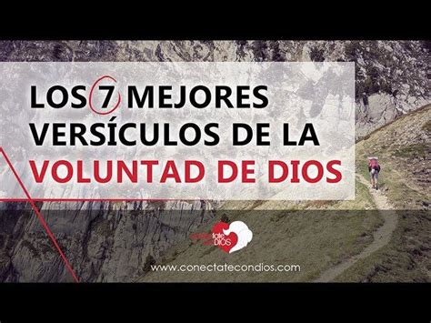 La voluntad de Dios versículos bíblicos que te guiarán en tu vida