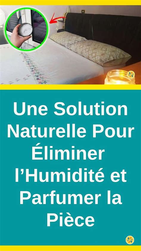 Débarrassez vous de lHumidité et Parfumez Votre Pièce Avec un Simple