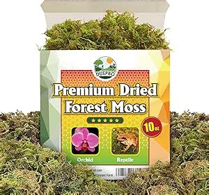 DUSPRO Dried Forest Moss For Potted Plants Orchid Moss Potting Mix