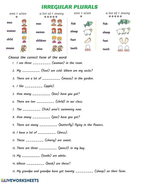 Singular And Plurals Exercises