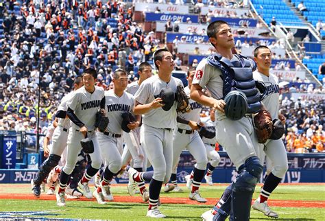 横浜「背番号14」鉾丸蒼太が“いやらしさ”発揮、一般入試で入部も必死の努力で先発に／神奈川 高校野球夏の地方大会写真ニュース 日刊スポーツ