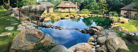 These Gorgeous Natural Swimming Pools Let You Ditch the Chlorine