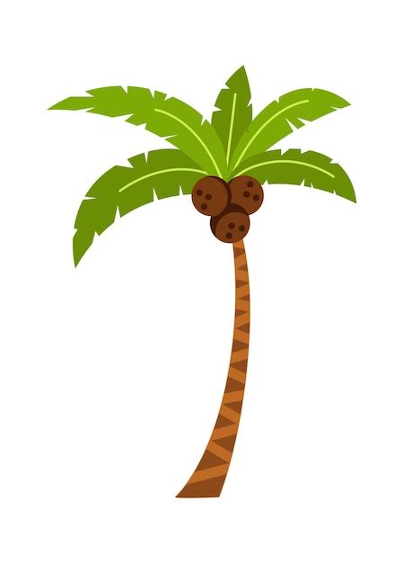 Ilustraci N De Vector De Planta Tropical De Palmera Vector Premium