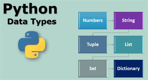 1important Python Data Types You Need To Knowdatacademy