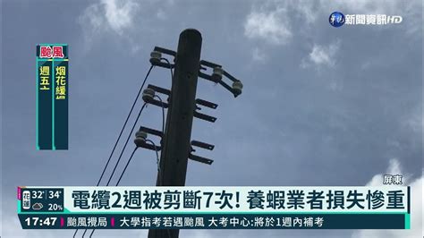 鴛鴦盜偷電纜變賣 養蝦業者亂棒毆死人｜華視新聞 20210722 Youtube