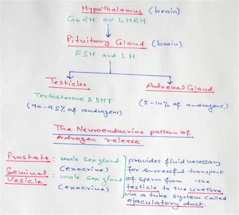 Science Doing: Androgen deprivation-hormone therapy for adenocarcinoma ...