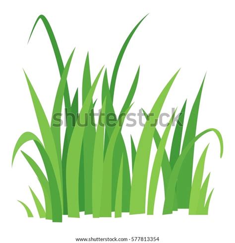 Grass Leaves Vector Icon Cartoon Illustration Stock Vector (Royalty Free) 577813354 | Shutterstock