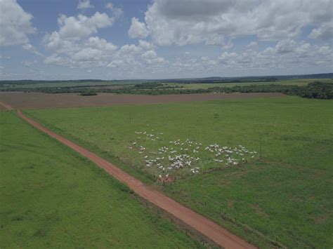 Fazenda à venda em Canarana MT 1 234 há soja